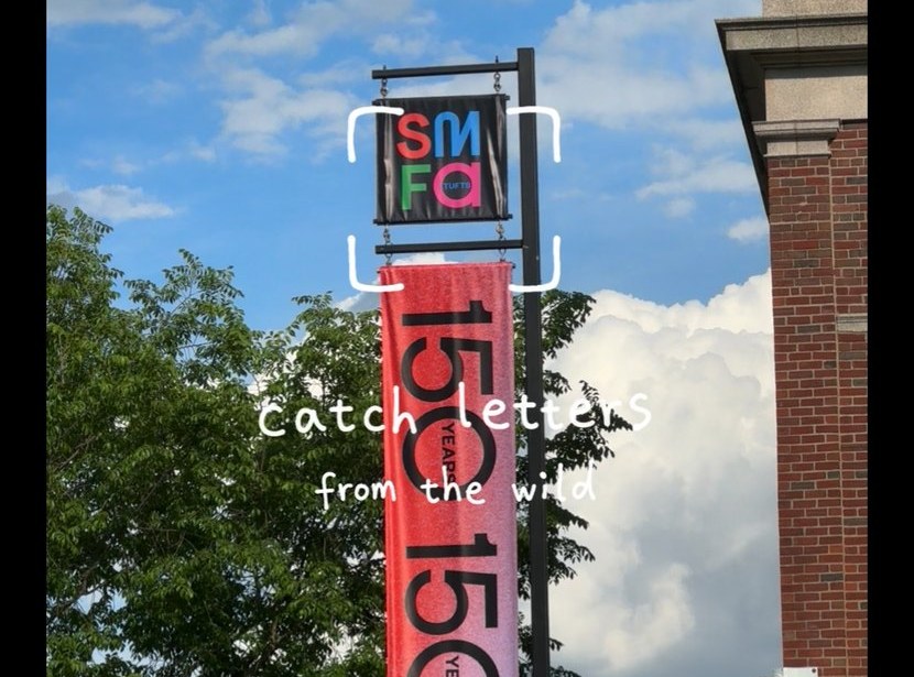 Viewfinder detail — corner brackets snapped around the letters on a street sign, with the prompt &ldquo;catch letters from the wild&rdquo;